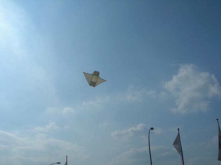 Historical Kite Workshop 2010