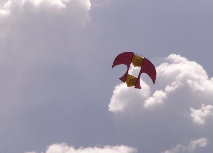 Historical Kite Workshop 2011